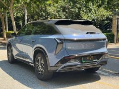 Hongqi Tiangong 08 730 Max rear-wheel drive version - фото 9