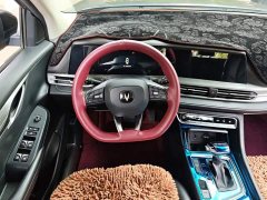 Changan CS55PLUS Blue Whale Edition 1.5T DCT Luxury - фото 15