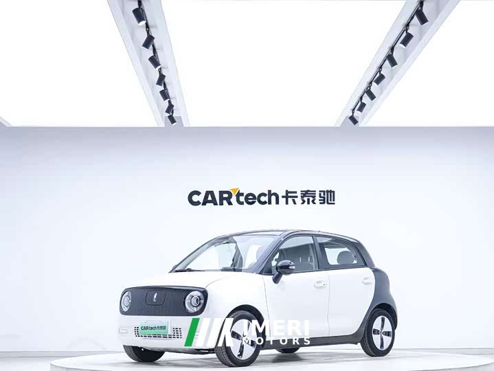 Ora Euler Black Cat 2022 301km Sprouting Lithium Iron Phosphate - автомобиль из Китая