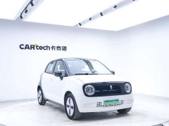 Ora Euler Black Cat 2022 301km Sprouting Lithium Iron Phosphate - фото 14