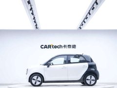 Ora Euler Black Cat 2022 301km Sprouting Lithium Iron Phosphate - фото 2