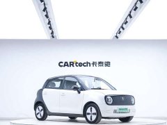 Ora Euler Black Cat 2022 301km Sprouting Lithium Iron Phosphate - фото 3