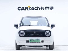 Ora Euler Black Cat 2022 301km Sprouting Lithium Iron Phosphate - фото 4