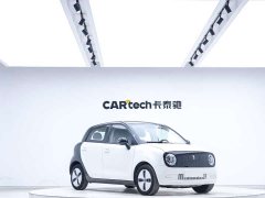 Ora Euler Black Cat 2022 301km Sprouting Lithium Iron Phosphate - фото 5