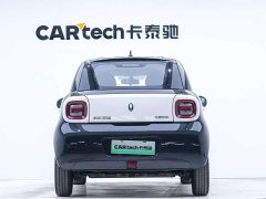 Ora Euler Black Cat 2022 301km Sprouting Lithium Iron Phosphate - фото 7
