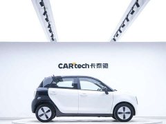 Ora Euler Black Cat 2022 301km Sprouting Lithium Iron Phosphate - фото 8