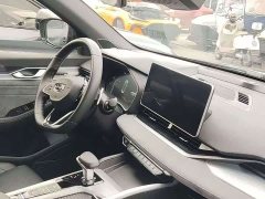 Geely Xingrui 2.0TD only comes in green version - фото 4