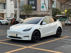 Tesla Model Y 2022 Performance high-performance all-wheel drive version - фото 1