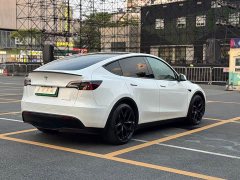 Tesla Model Y 2022 Performance high-performance all-wheel drive version - фото 2