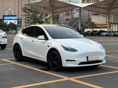 Tesla Model Y 2022 Performance high-performance all-wheel drive version - фото 3