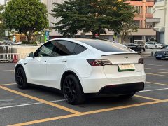 Tesla Model Y 2022 Performance high-performance all-wheel drive version - фото 4