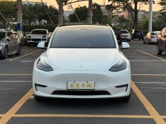 Tesla Model Y 2022 Performance high-performance all-wheel drive version - фото 5