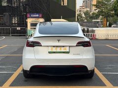 Tesla Model Y 2022 Performance high-performance all-wheel drive version - фото 6