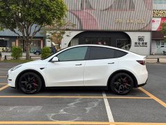 Tesla Model Y 2022 Performance high-performance all-wheel drive version - фото 7