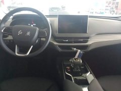 Hongqi E-QM5 560km PLUS - фото 12