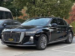 Hongqi H5 1.5T DCT Zhilian Qiyue Edition - фото 1