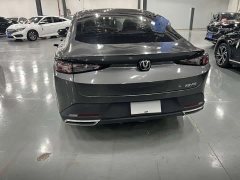 Ford Eado 1.5T GDI automatic premium - фото 13