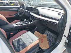Ford EADO PLUS Blue Whale NE 1.4T GDI DCT High Energy Edition - фото 12
