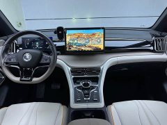 BYD Song Pro New Energy 2023 Champion Edition DM-i 71KM Transcendent Type - фото 7