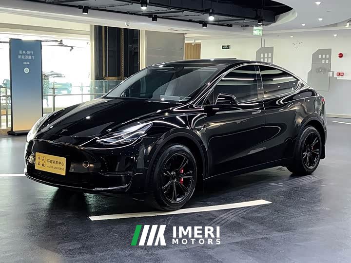 Tesla Model Y 2023 long-range all-wheel drive version - автомобиль из Китая