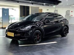 Tesla Model Y 2023 long-range all-wheel drive version - фото 1