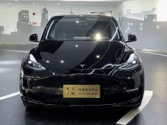 Tesla Model Y 2023 long-range all-wheel drive version - фото 2