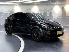 Tesla Model Y 2023 long-range all-wheel drive version - фото 3