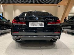 BMW 5 Series 530Li Leading Luxury Package - фото 5