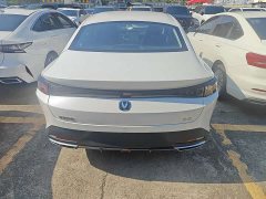 Ford Eado Blue Whale 1.5T 500Bar Premium Type - фото 15