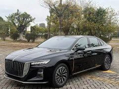 Hongqi H5 2024 2.0T Automatic Zhilianqichang Edition - фото 1