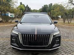 Hongqi H5 2024 2.0T Automatic Zhilianqichang Edition - фото 2