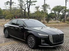 Hongqi H5 2024 2.0T Automatic Zhilianqichang Edition - фото 3