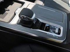 Ora Hongqi HS5 2025 2.0T two-wheel drive 600,000 units commemorative edition - фото 14
