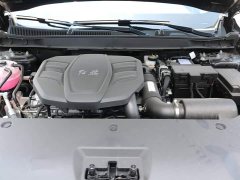 Ora Hongqi HS5 2025 2.0T two-wheel drive 600,000 units commemorative edition - фото 15