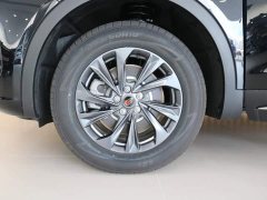 Ora Hongqi HS5 2025 2.0T two-wheel drive 600,000 units commemorative edition - фото 16