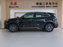 Ora Hongqi HS5 2025 2.0T two-wheel drive 600,000 units commemorative edition - фото 2