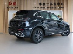 Ora Hongqi HS5 2025 2.0T two-wheel drive 600,000 units commemorative edition - фото 3