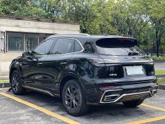 Hongqi HS5 2.0T Qixiang Pro version - фото 6
