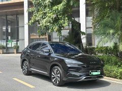 BYD Song PLUS New Energy Champion Edition DM-i 150KM Flagship PLUS 5G - фото 3