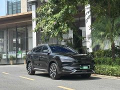 BYD Song PLUS New Energy Champion Edition DM-i 150KM Flagship PLUS 5G - фото 4