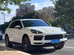 Porsche Cayenne 2022 Cayenne 3.0T Platinum Edition - фото 3