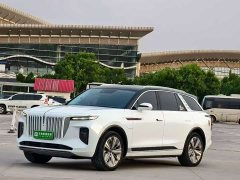 Hongqi E-HS9 690km flagship version six seats - фото 1