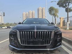 Hongqi H5 1.5T DCT Zhilian Qiyun Edition - фото 2