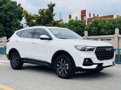 Haval H6 2023 National Fashion Edition 1.5T Automatic Urban Edition - фото 3