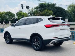 Haval H6 2023 National Fashion Edition 1.5T Automatic Urban Edition - фото 5