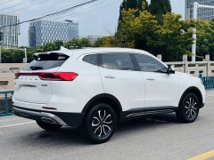 Haval H6 2023 National Fashion Edition 1.5T Automatic Urban Edition - фото 6