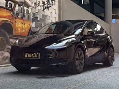 Tesla Model Y rear-wheel drive version - фото 1