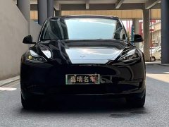 Tesla Model Y rear-wheel drive version - фото 2