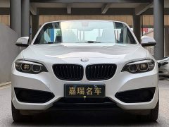 BMW 2 Series (Imported) 2019 225i Convertible Coupe Sports Design Package - фото 2
