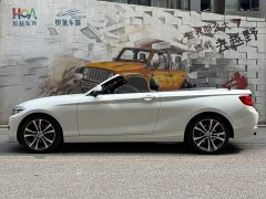 BMW 2 Series (Imported) 2019 225i Convertible Coupe Sports Design Package - фото 3